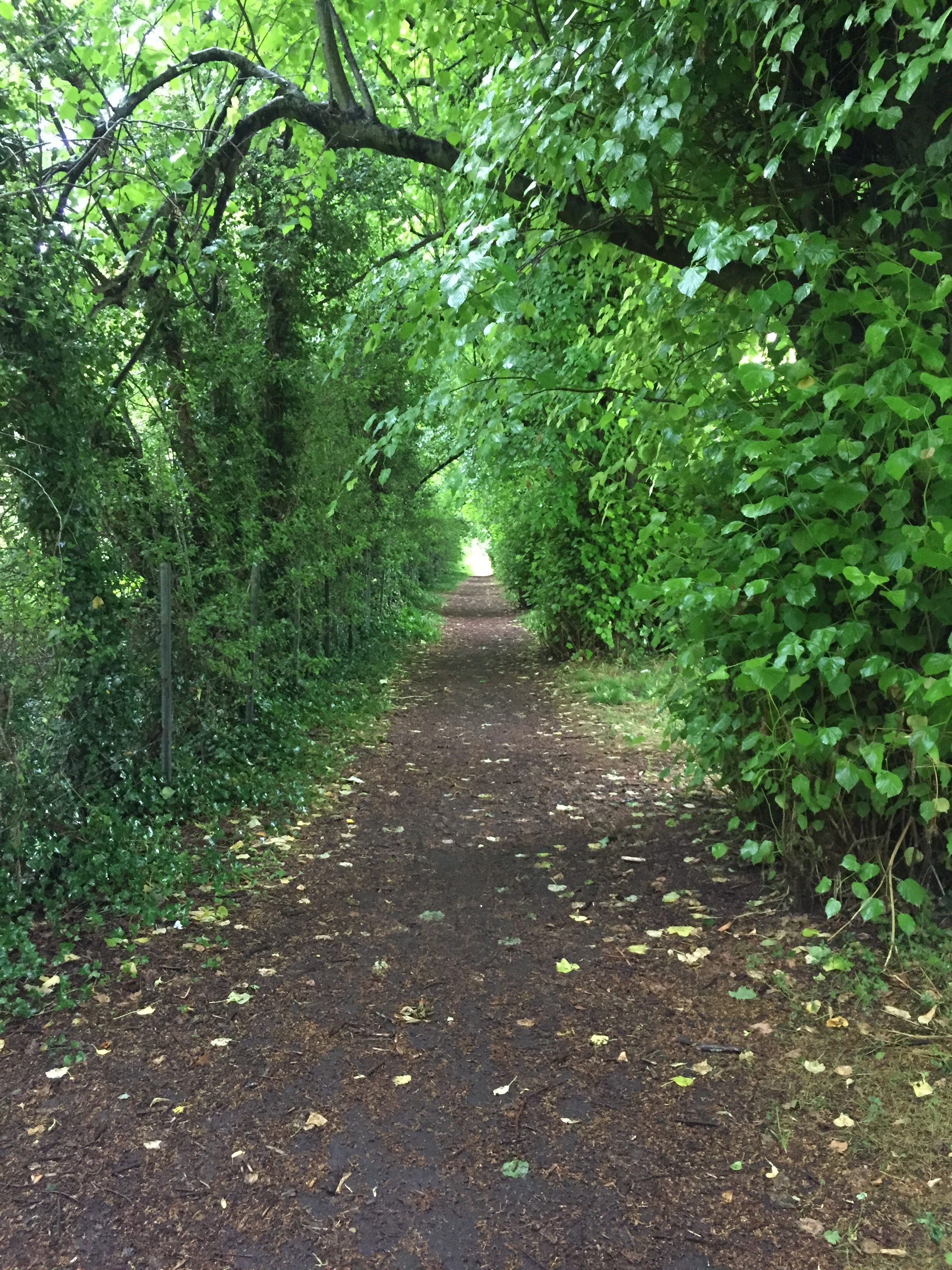 Path on Castletown Grounds